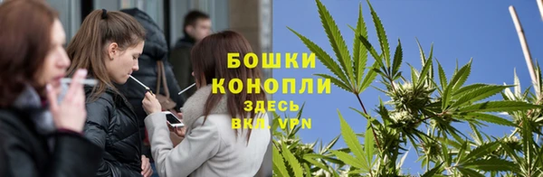 спиды Бородино