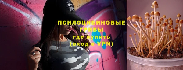 соль курить ск Богородск