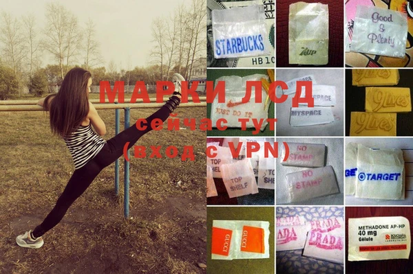 стаф Сосновка