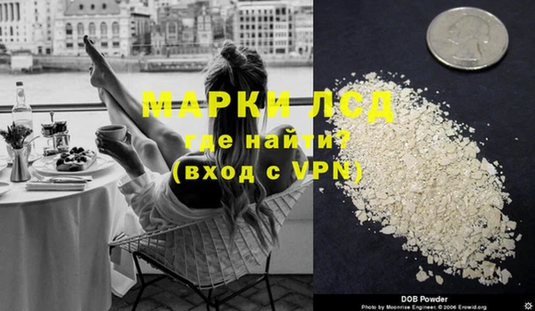 спиды Бородино