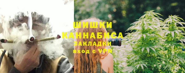 спиды Бородино