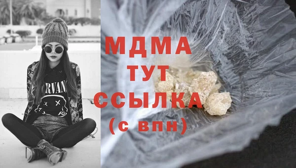 спиды Бородино
