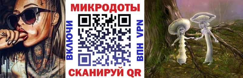 Псилоцибиновые грибы Psilocybe Мышкин